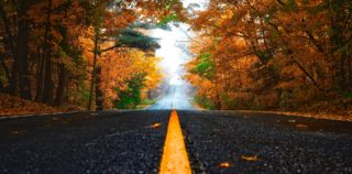 Autumn Car Accident Prevention
